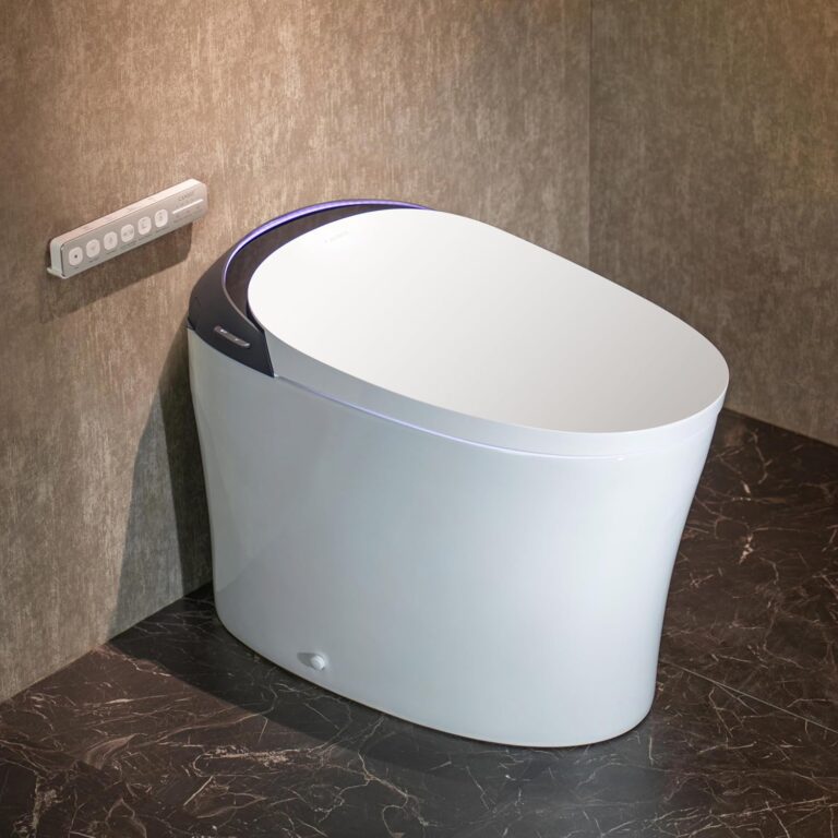 CANEST Smart Toilet Review: Honest Pros & Cons 23 Image 1 of CANEST smart toilet review