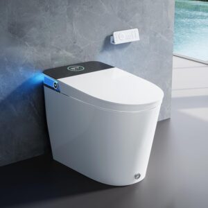 Image 1 of HOROW bidet toilet review